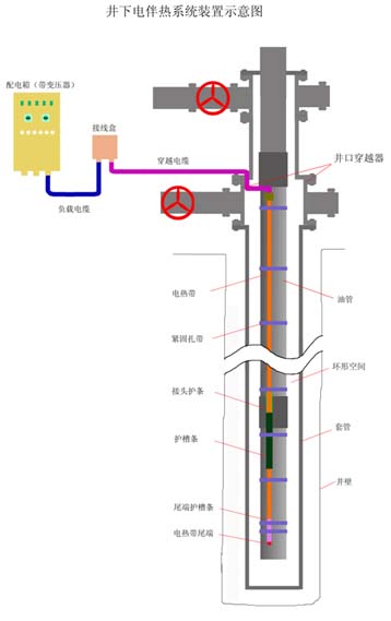 电伴热带